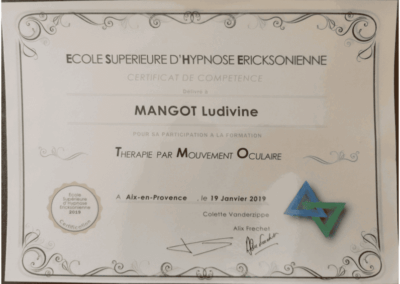 Ludivine Mangot, Certificat Thérapie par Mouvement Oculaire