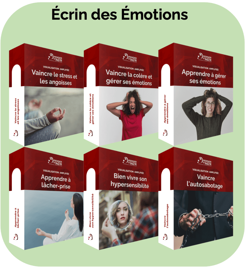 Visualisation Amplifiée : Écrin des Émotions
