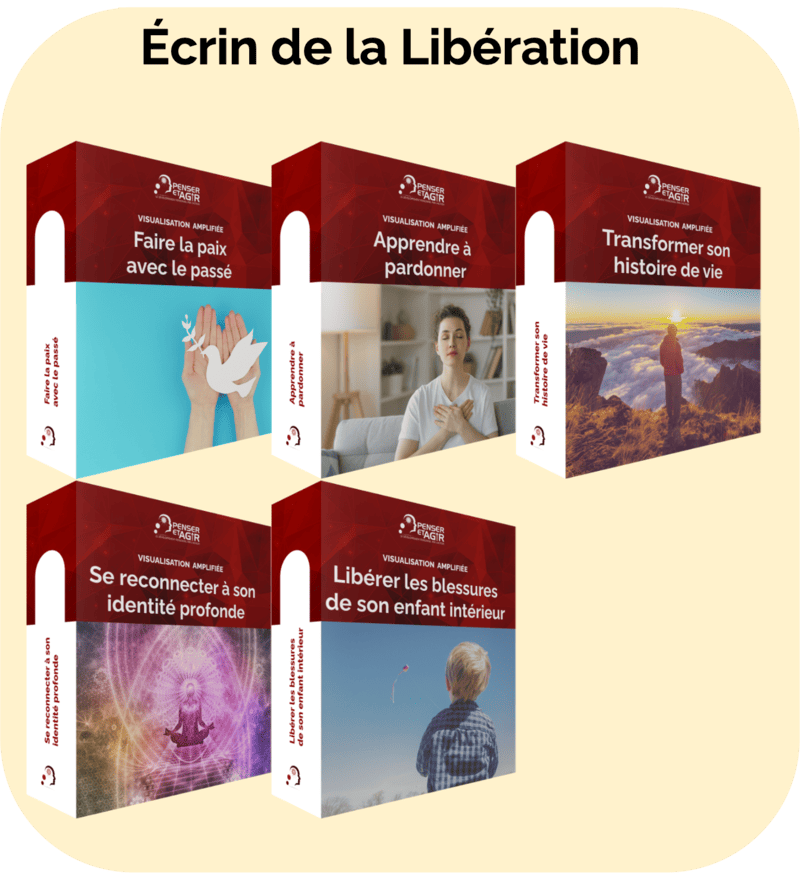 Visualisation Amplifiée : Écrin de la Libération